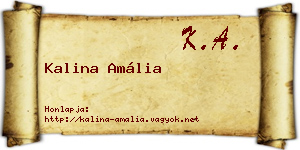 Kalina Amália névjegykártya